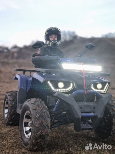 Avantis hunter 200 new premium