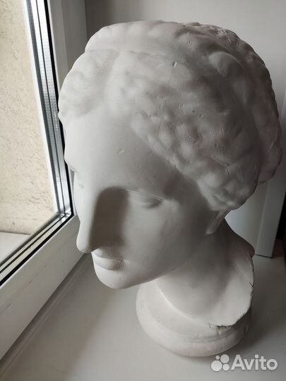 Гипсовая голова Афродиты