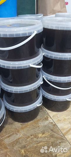 Мед алтайский