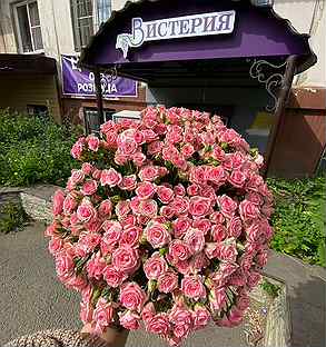 Роза Кустовая Грация 50 см