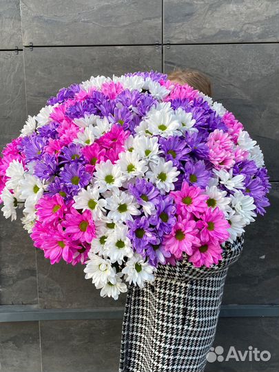 Хризантема (ромашки) цветы букет доставка