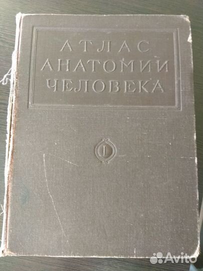 Синельников.Атлас Анатомии Человека том 1 1946 год