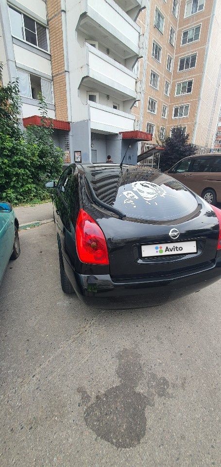 Nissan Primera: фото владельца