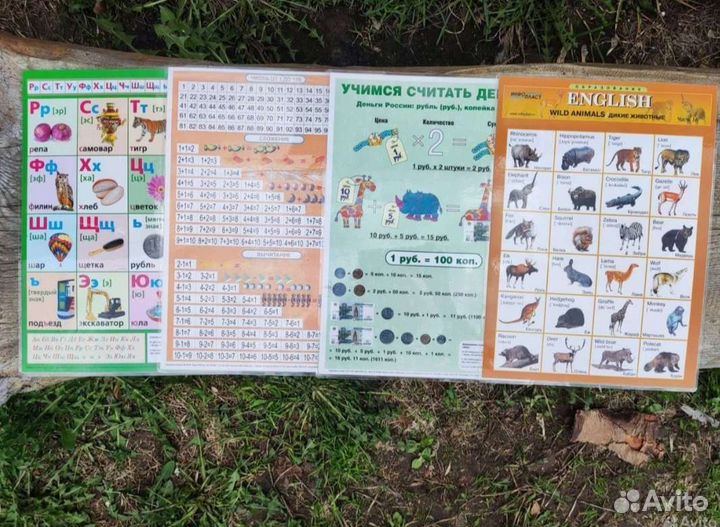 Развивательная, Дошкольная подготовка