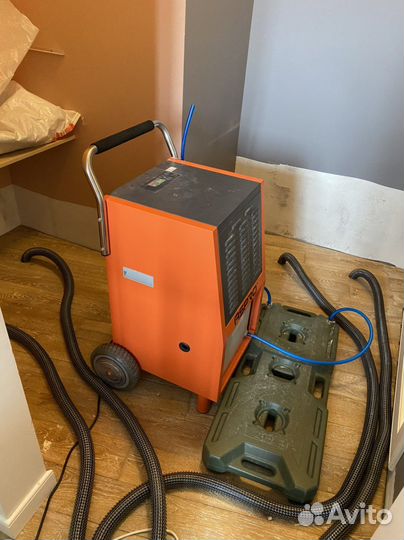 Осушение домов, квартир и офисов после потопа