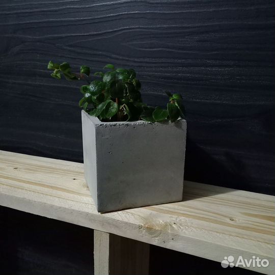 Кашпо, Вазоны, Горшки под заказ из бетона арт 171