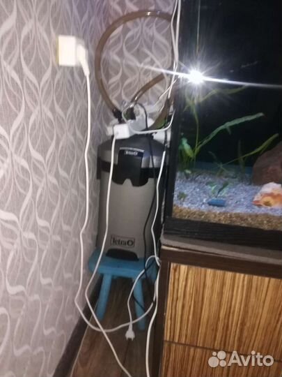 Аквариум с оборудованием и всем содержимым
