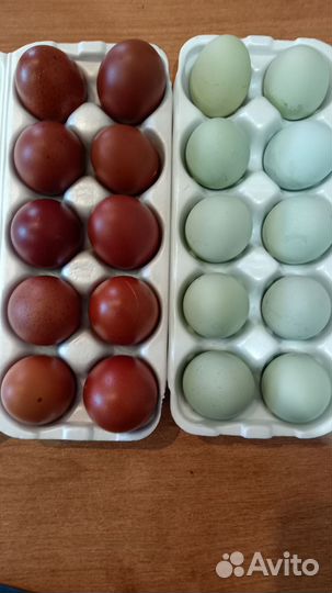 Палитра корректоров