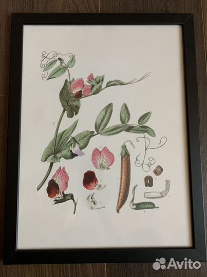 Постеры IKEA, постер