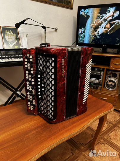 Баян тула 302