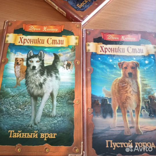 Книги хроники стаи