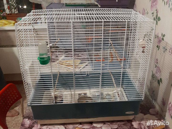 Большая клетка для птиц