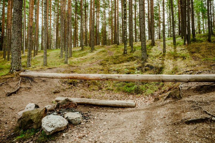 Участок 2 га (СНТ, ДНП)