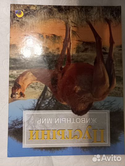 Книги толстые в плотном переплёте