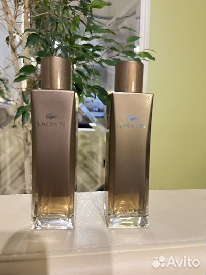 Lacoste pour femme intense