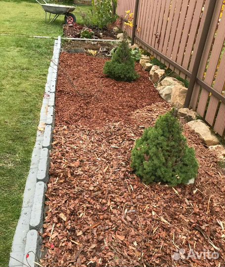 Сосновая кора мульча