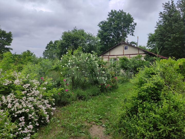 Участок 1,1 га (СНТ, ДНП)