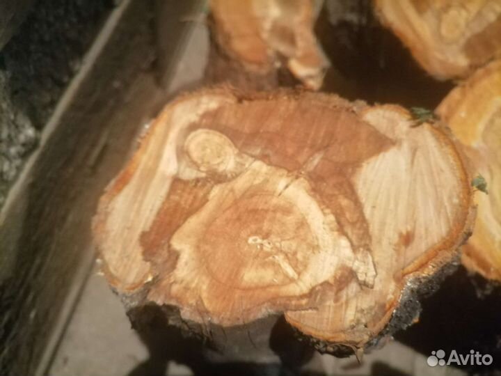 Слива для поделок слэб