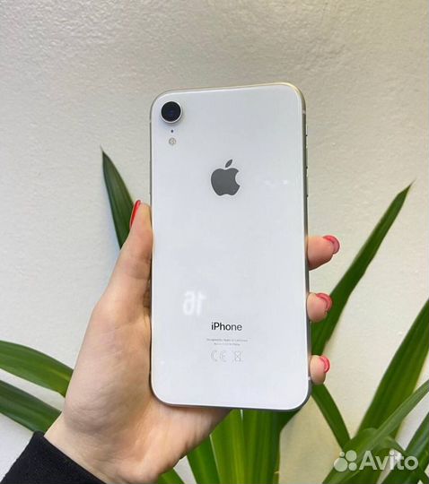 iPhone Xr, 128 ГБ