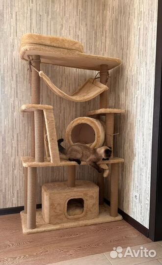 Когтеточка домик для кошки