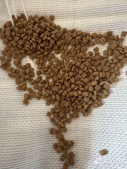 Корм для собак супер премиум