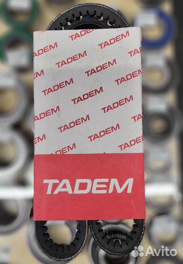 Ремень 10х820 зубч. брт генератора 1111 ока