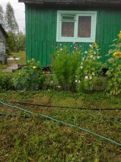 Дача 20 м² на участке 15 сот.