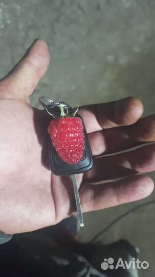 Саженцы клубники