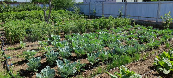 Дом 215 м² на участке 10 сот.