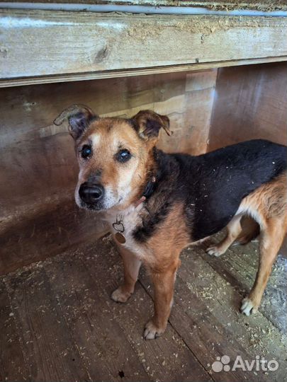 Бруня нуждается в любящем человеке