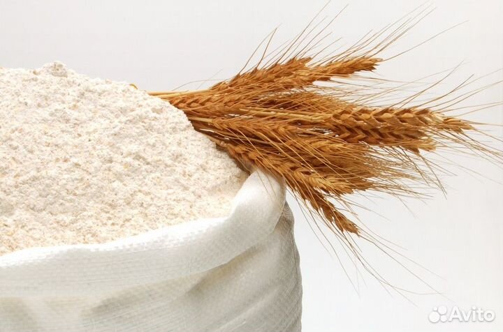 Мука пшеничная оптом от 20 тонн