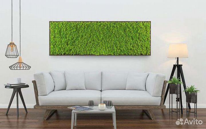 Стабилизированный мох от производителя