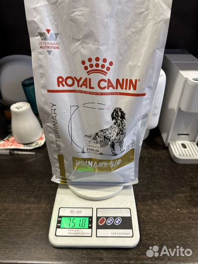 Корм для собак