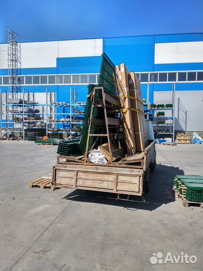 Газель пирамида