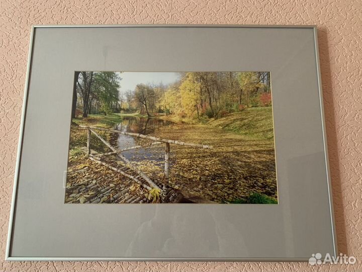 Фотокартина Ясная Поляна. Березовый мостик