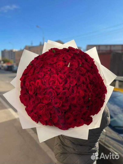 101 красная роза 50см доставка Самовывоз букет