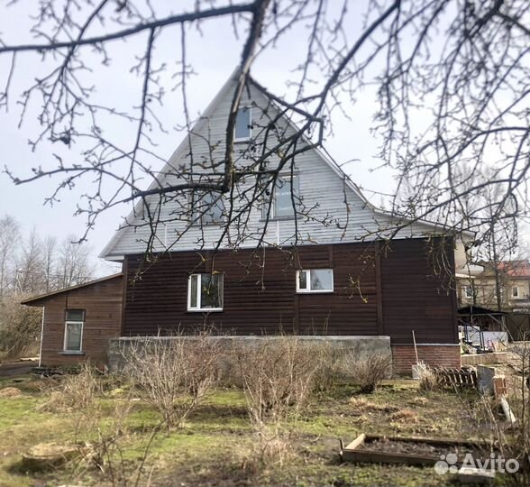 Зоогостиница. Догситтер. Няня кошки