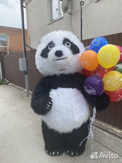 Аниматор/ зажигательная панда