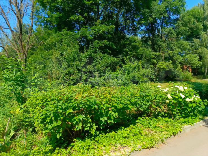 3-к. квартира, 58,4 м², 3/5 эт.