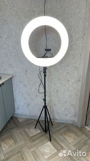Кольцевая лампа soft ring light RL - 21