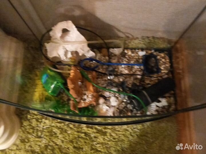 Украшение для аквариума