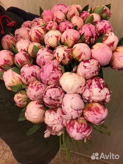 Букет из пионов