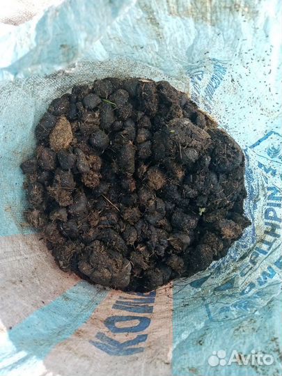 Продам отборный,чистый конский навоз