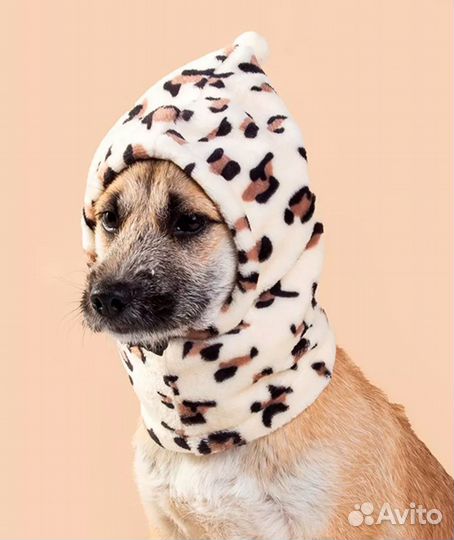 Шапка для собаки