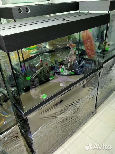 Аквариумы, море, рыбки, оборудование