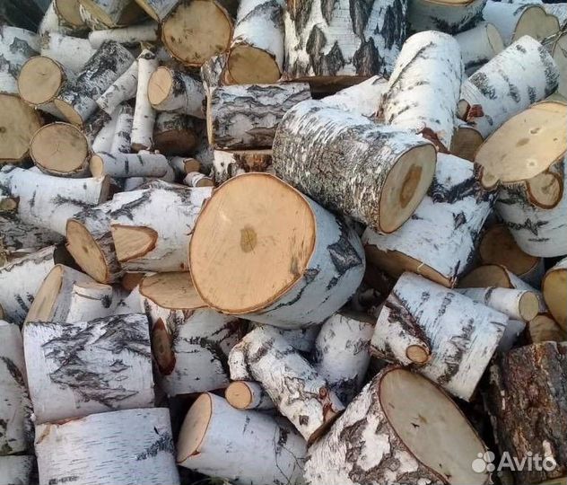 Дрова берёза