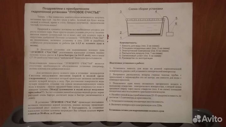 Луковое счастье