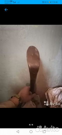 Лапа сапожника