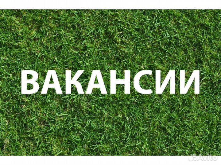 Грузчик вахта до 70 смен проживание