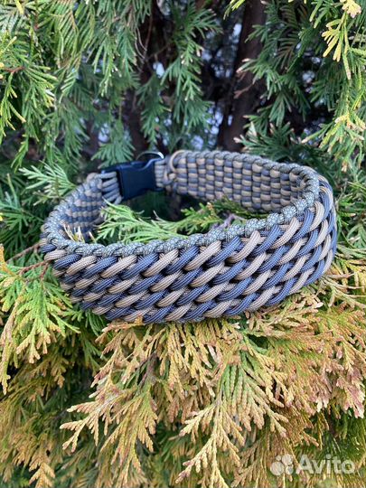 Ошейник для собак